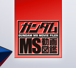 �K���_�� MS����}��