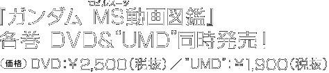 wK_ MS(rX[c)}Ӂx e DVDgUMDhI yiz DVDF2,500iŔj^gUMDhF1,900iŔj